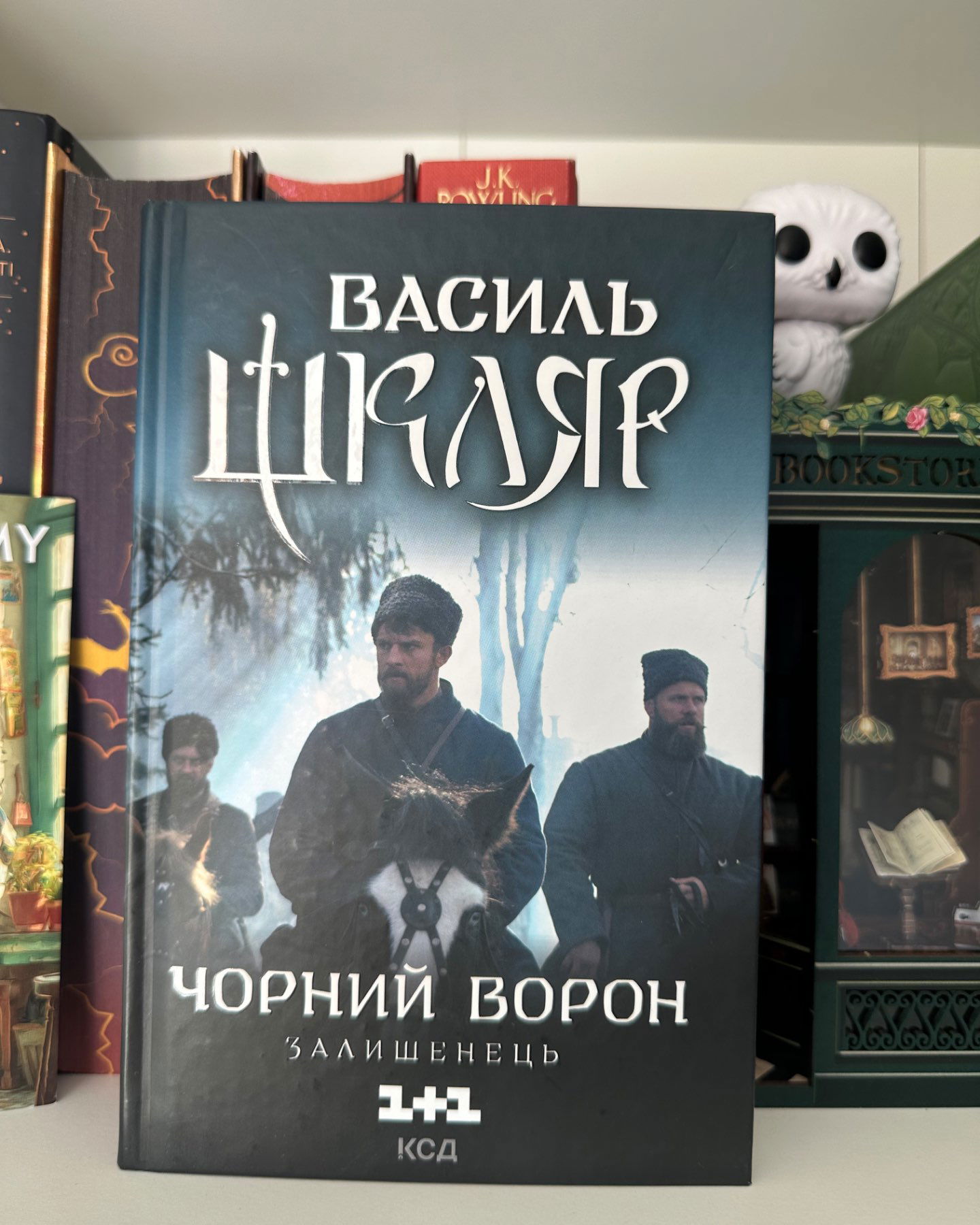 Чорний ворон. Залишенець-Василь Шкляр