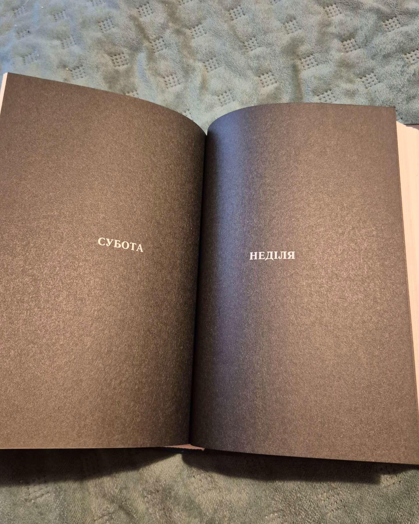 Тюремна цілителька. Книга 1-Лінетт Ноні