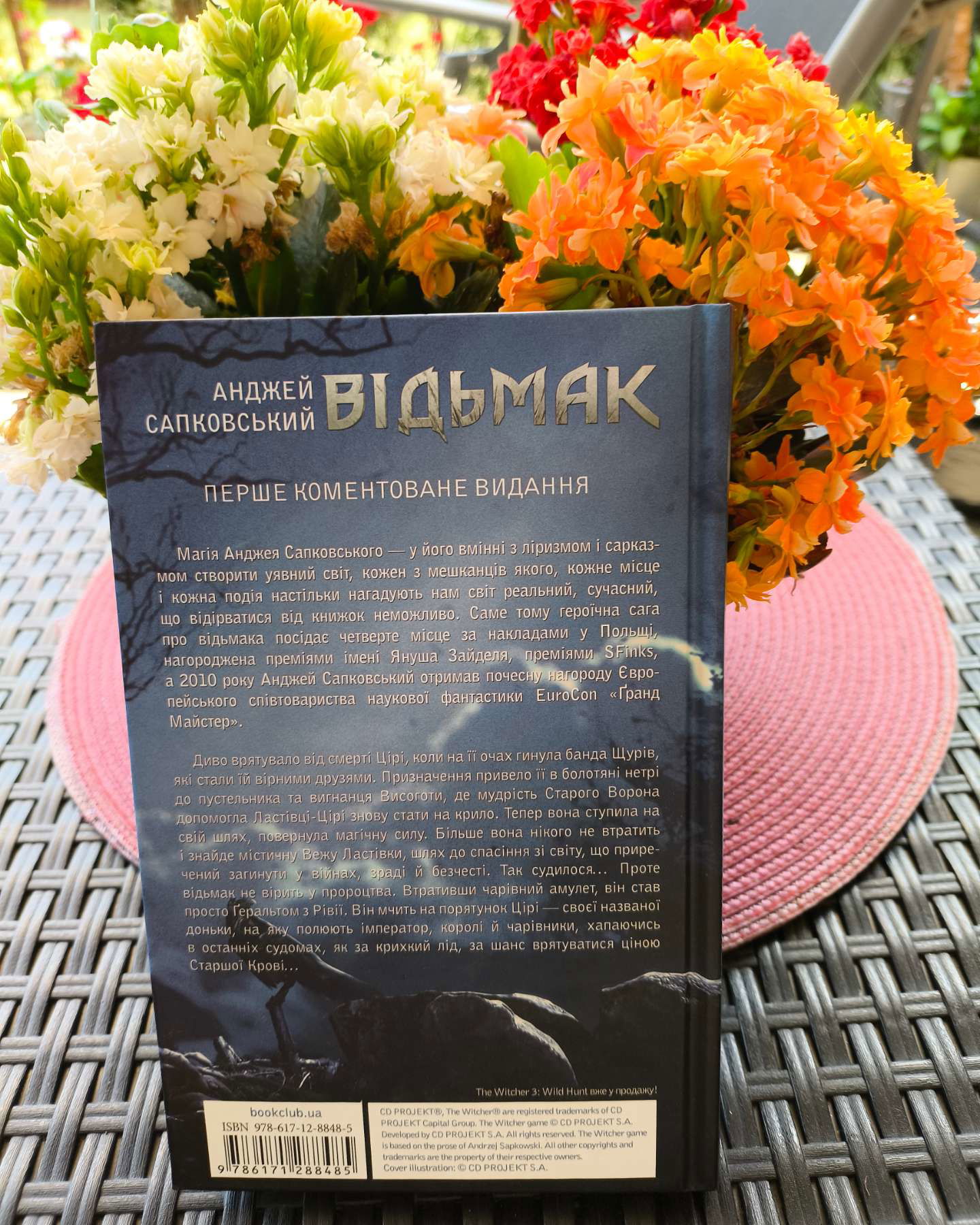 Відьмак. Вежа Ластівки. Книга 6-Анджей Сапковський