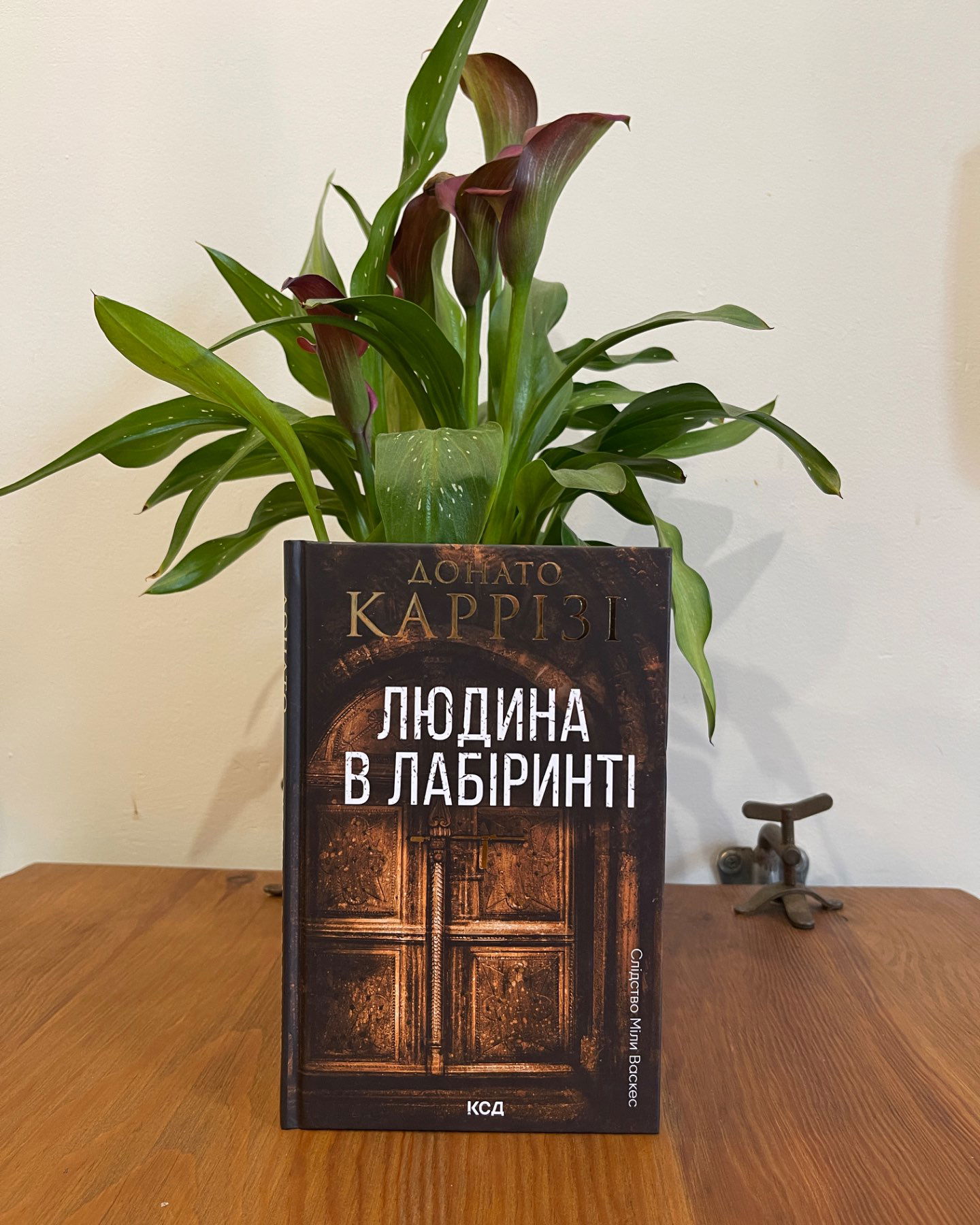 Людина в лабіринті-Донато каррізі