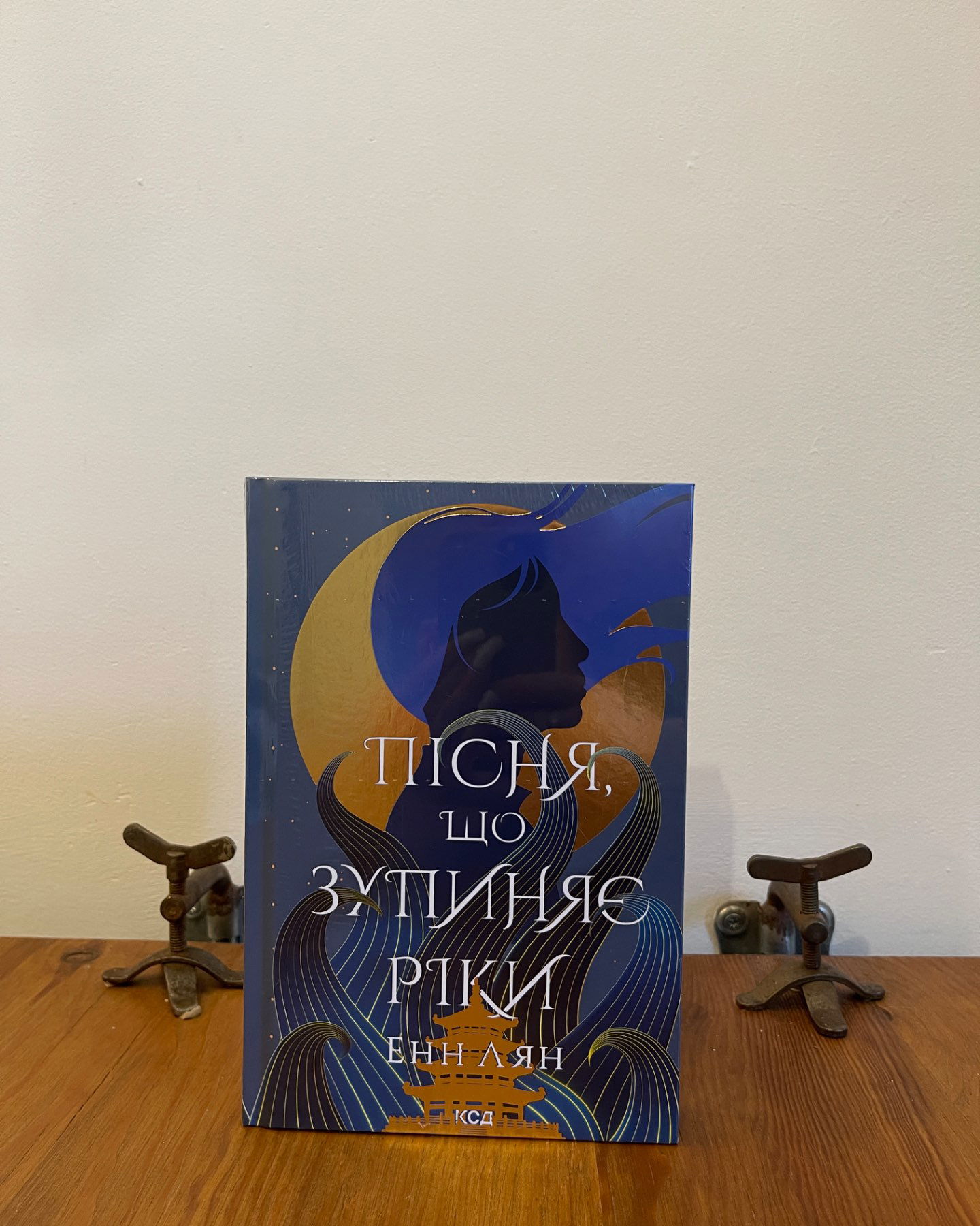 Пісня, що зупиняє ріки-Енн Лян