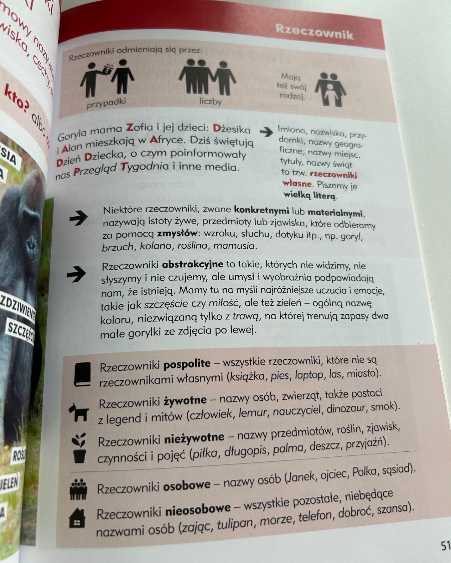 Polski bez błędów-Edu Emu