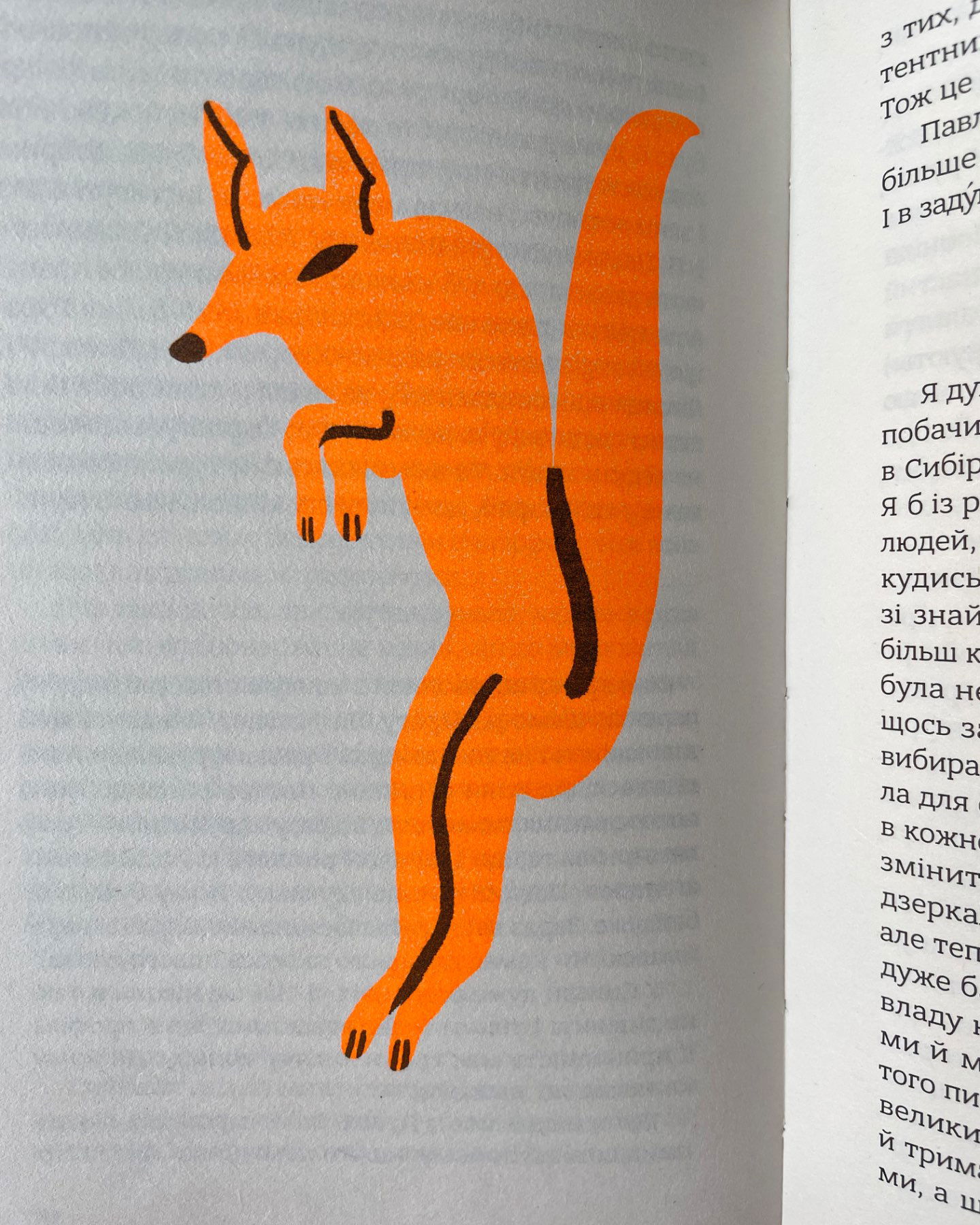 Із лисиці — в даму-Їржі Кратохвіл