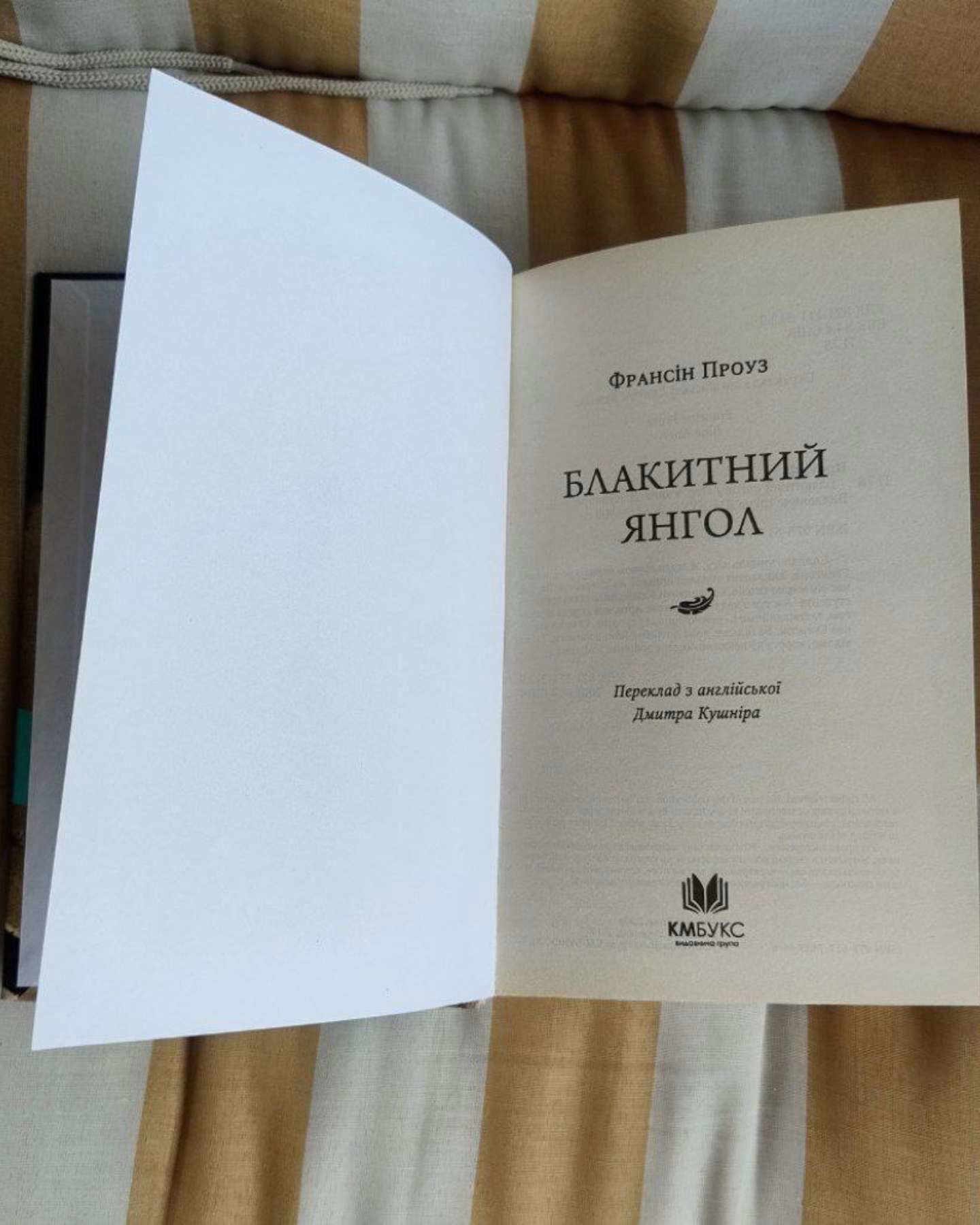Блакитний янгол-Франсін Проуз