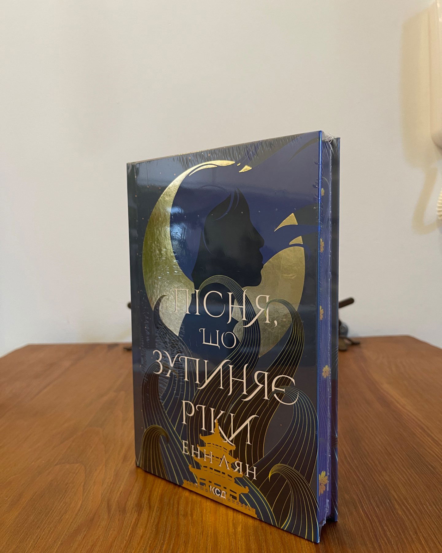 Пісня, що зупиняє ріки-Енн Лян