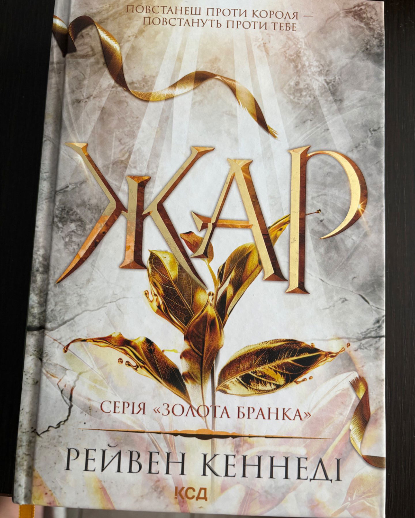 Жар. Книга 4-Рейвен Кеннеді