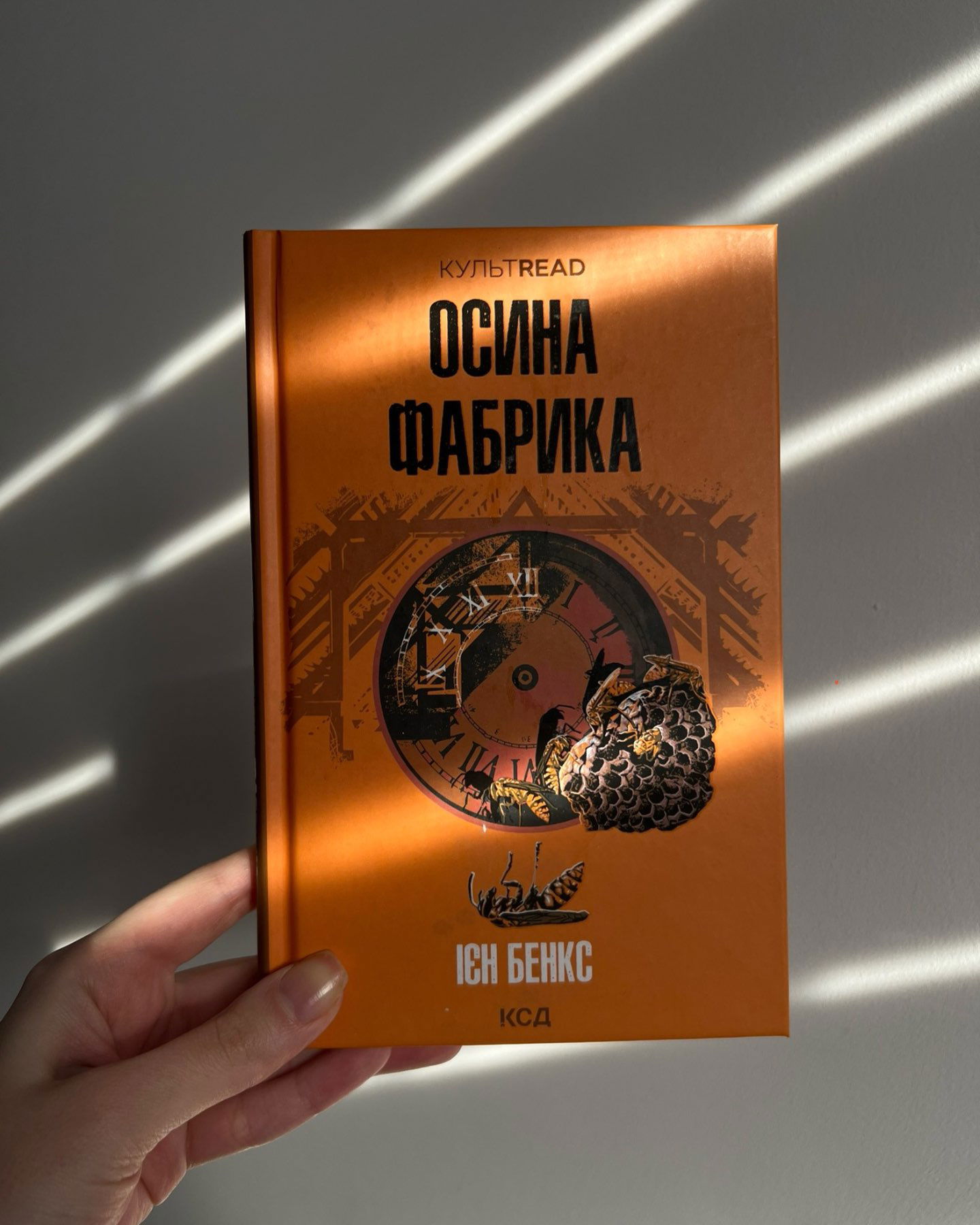 Осина фабрика-Іен Бенкс