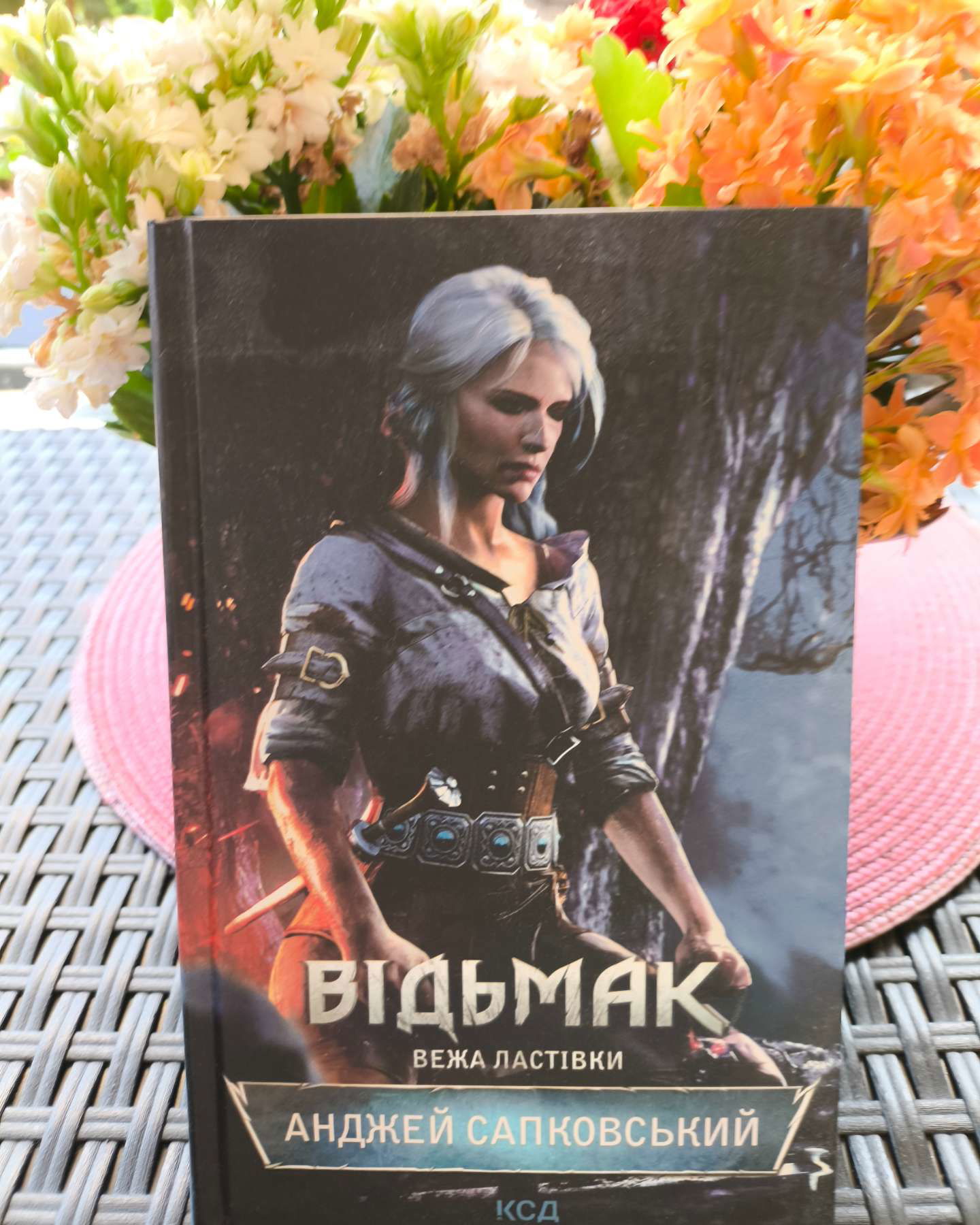 Відьмак. Вежа Ластівки. Книга 6-Анджей Сапковський