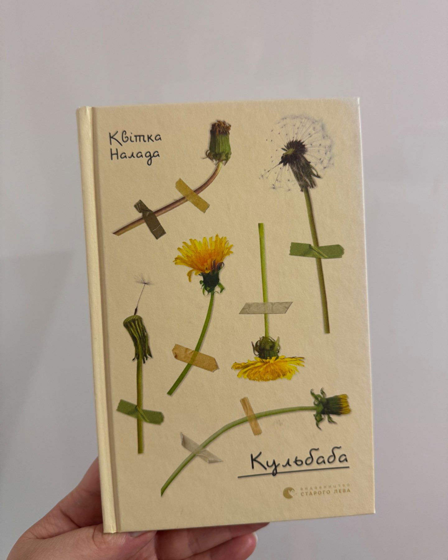 Кульбаба-Квітка Налада