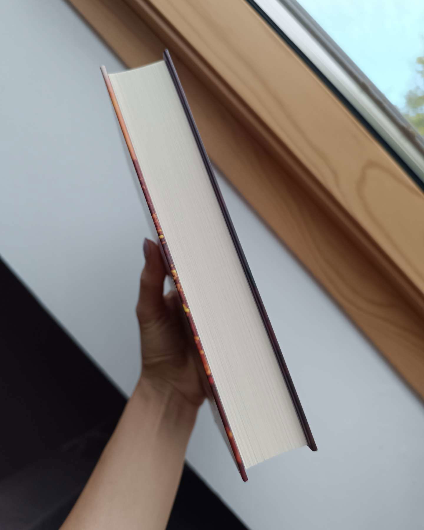 Спіймана. Місто вітрів. Книга 3-Ліз Томфорд