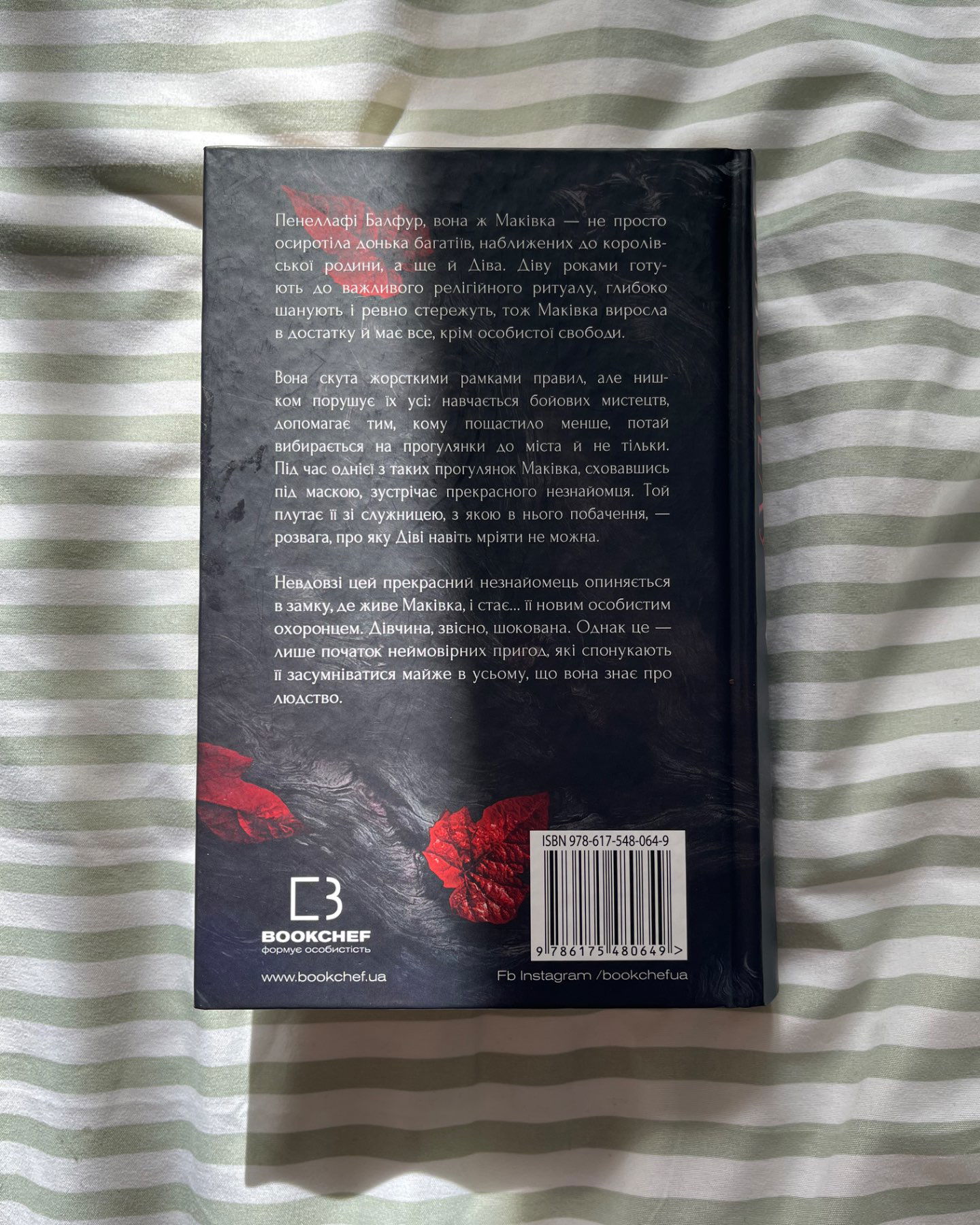 Кров і попіл. Книга 1. Із крові й попелу-Дженніфер Л. Арментраут