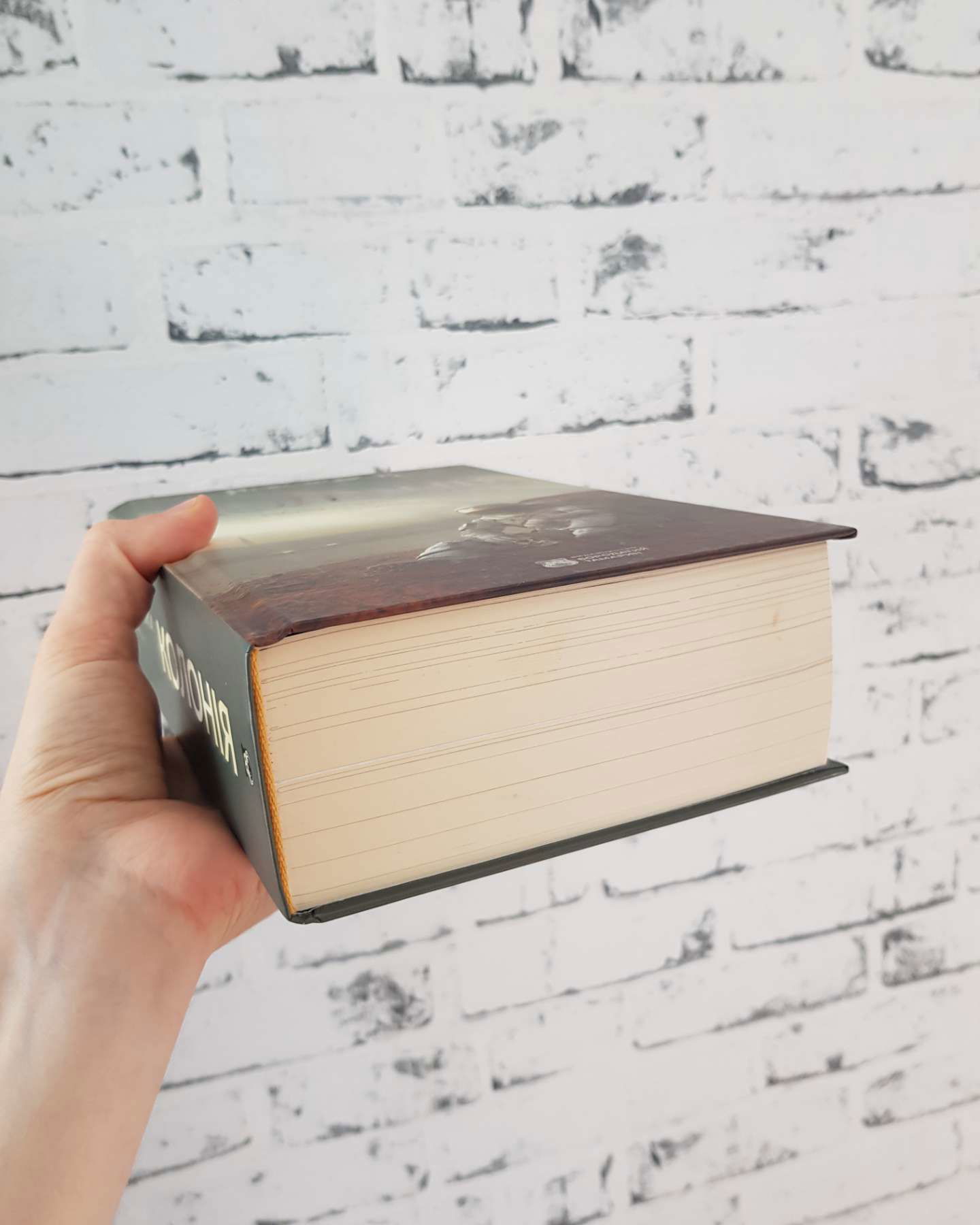 Нові Темні Віки. Книга 1. Колонія-Макс Кідрук