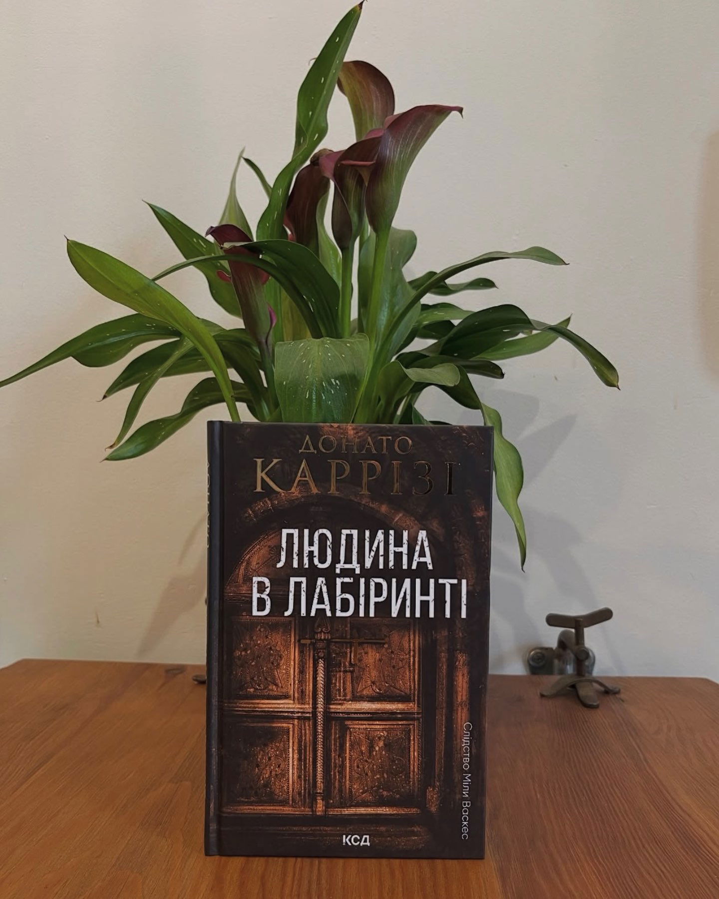 Людина в лабіринті. Книга 3-Донато Каррізі