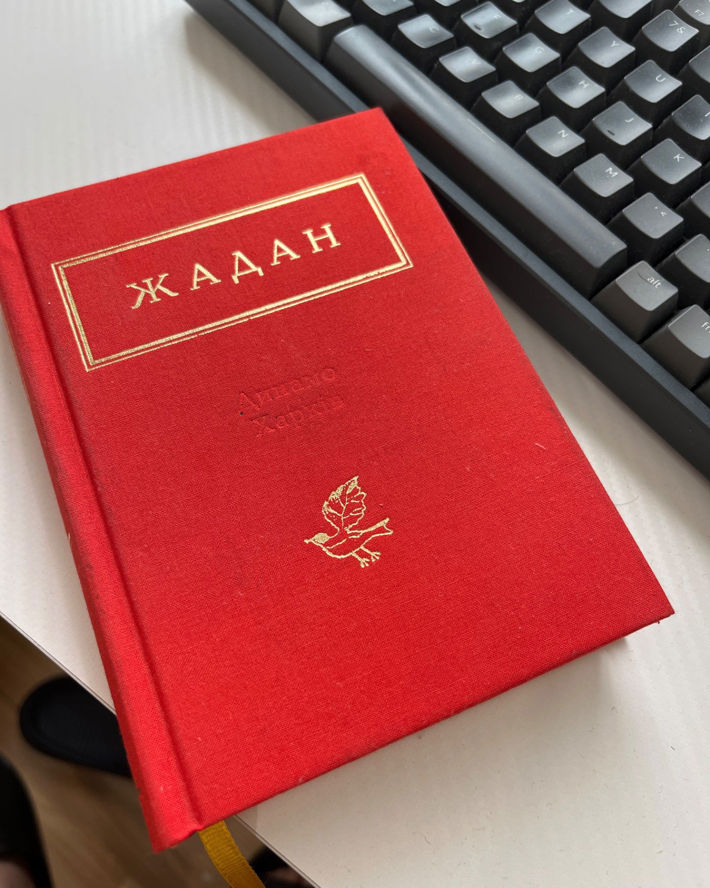 Динамо Харків-Сергій Жадан