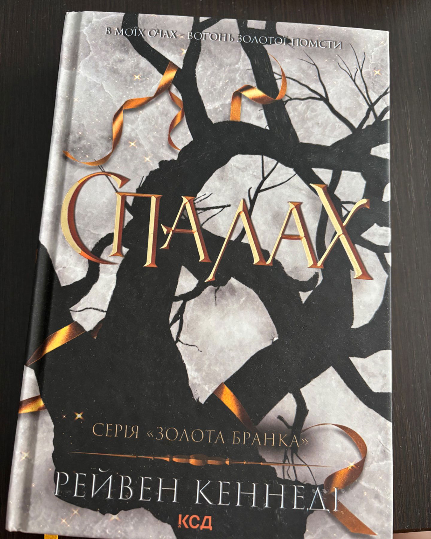 Спалах. Книга 3-Рейвен Кеннеді