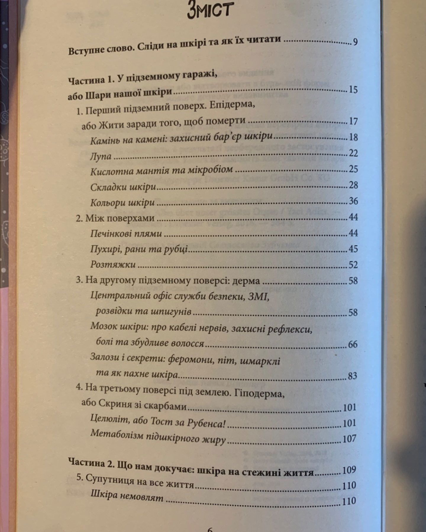 Зовнішня історія-Яель Адлер