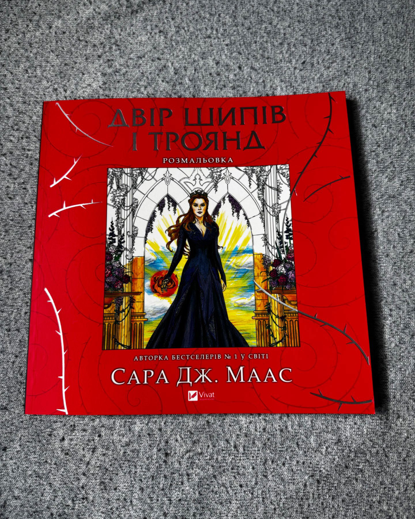 ДШІТ розмальовка-Сара Маас