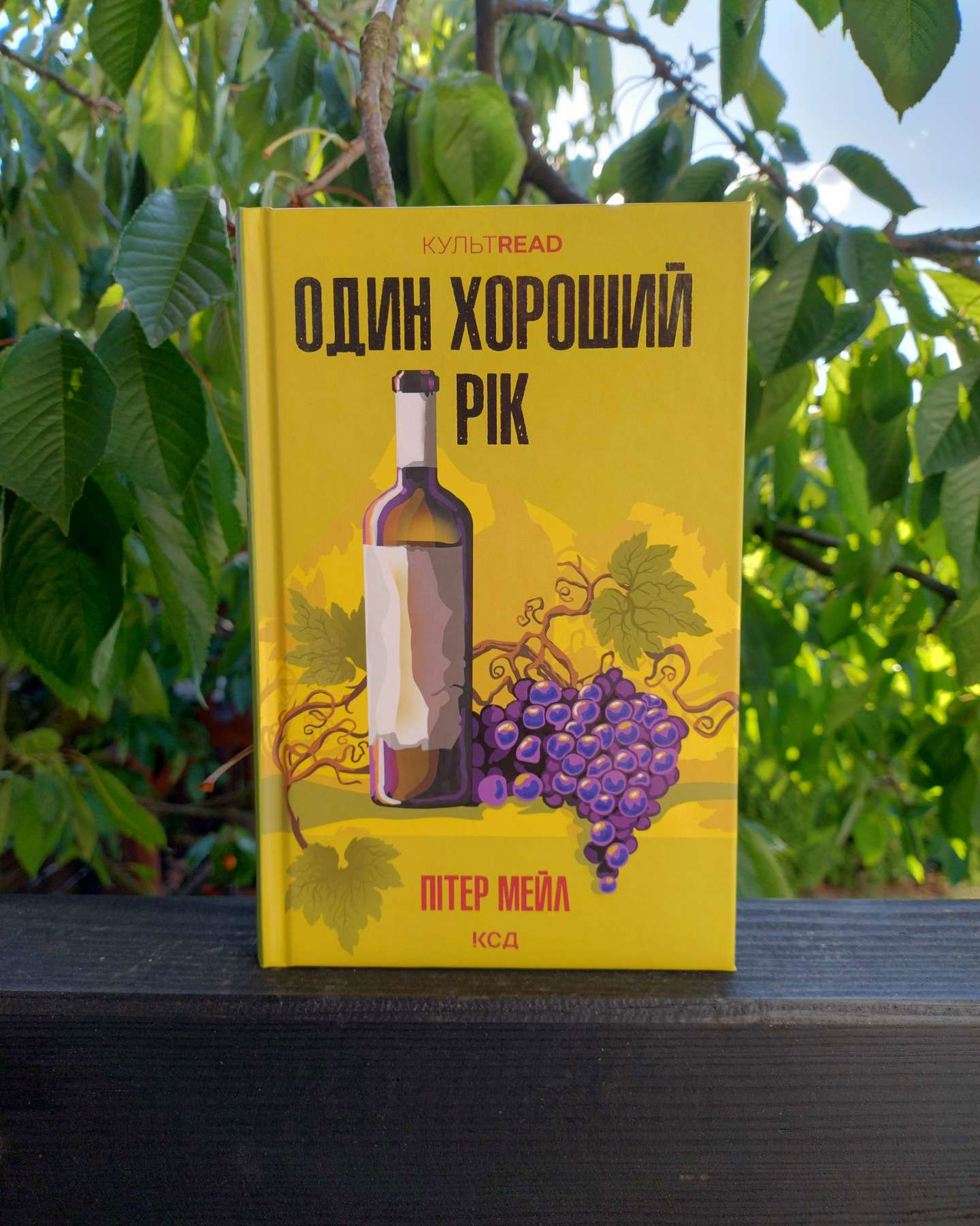 Один хороший рік-Пітер Мейл