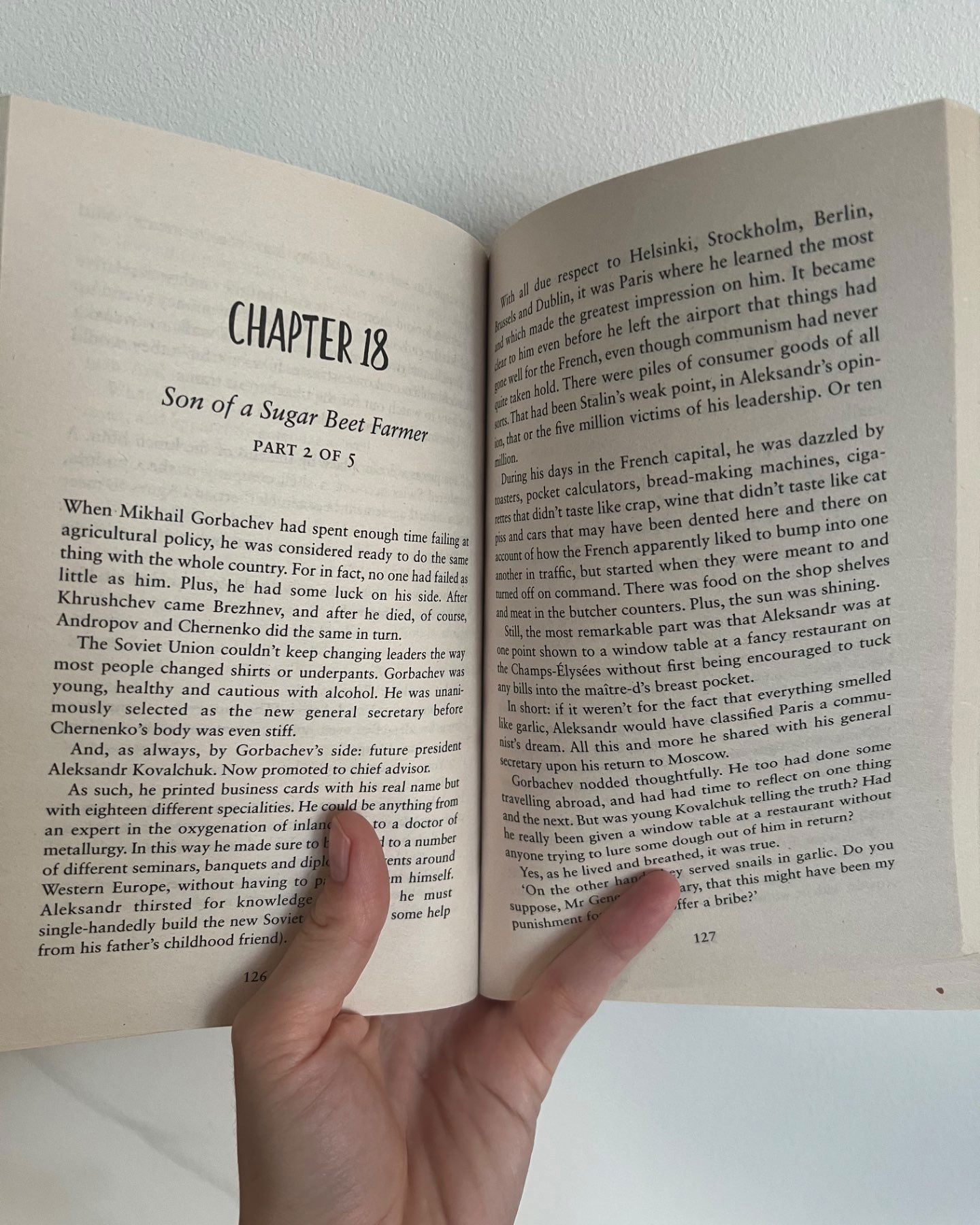 The Prophet and the Idiot-Jonas Jonasson