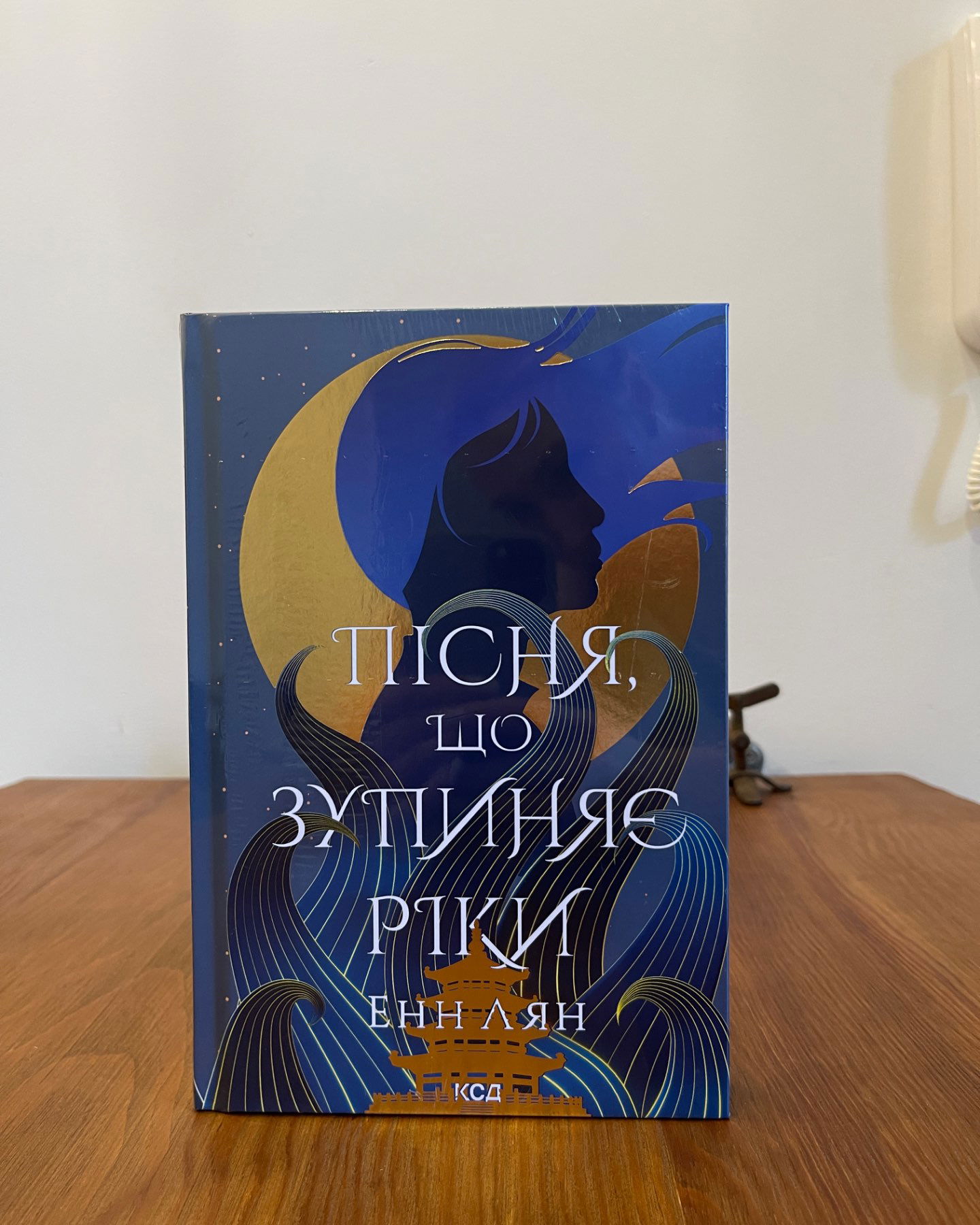 Пісня, що зупиняє ріки-Енн Лян