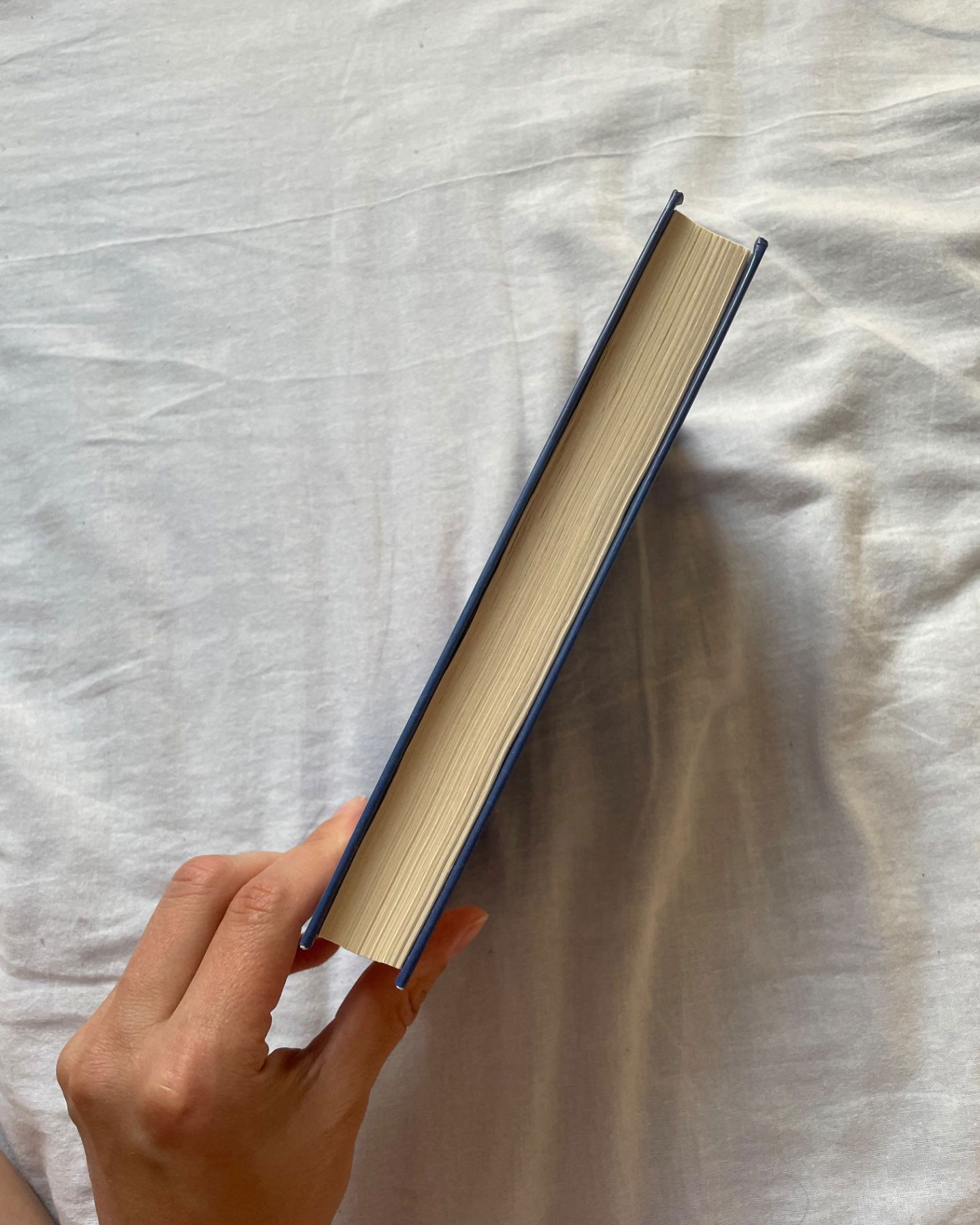 Це сталося влітку. Книга 1-Тесса Бейлі