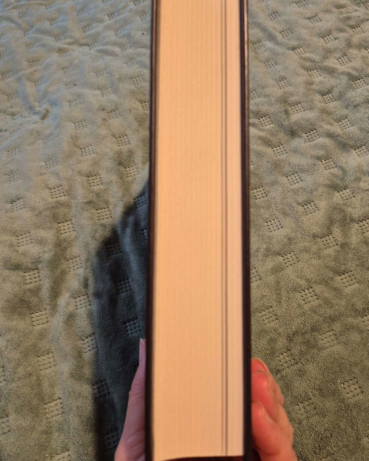 Тюремна цілителька. Книга 1-Лінетт Ноні
