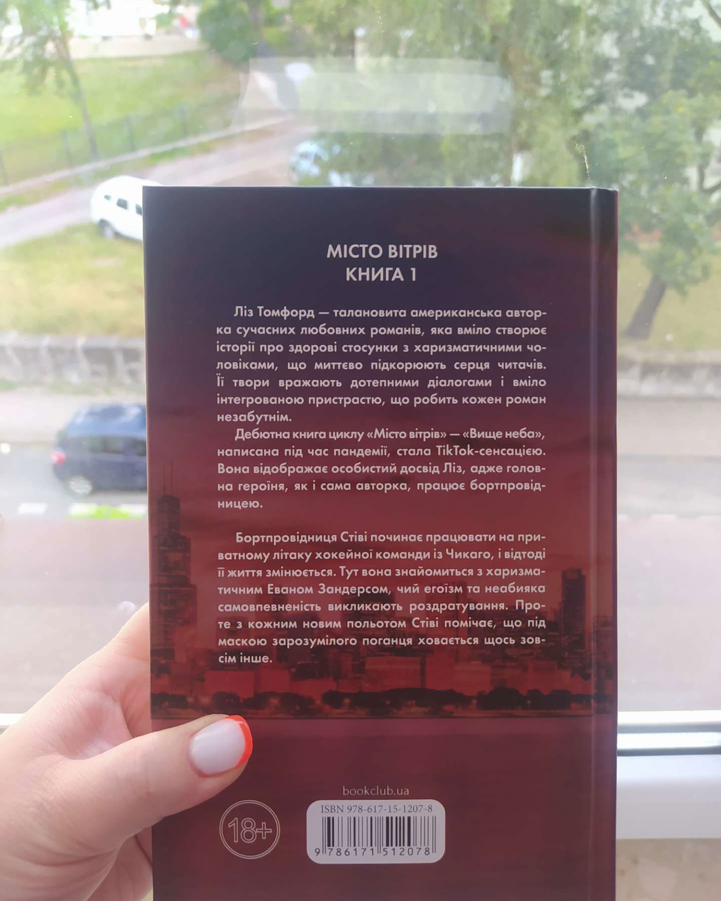 Вище неба. Місто вітрів. Книга 1-Ліз Томфорд