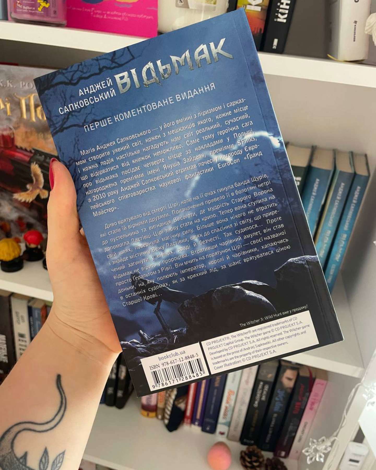 Відьмак. Вежа Ластівки. Книга 6-Анджей Сапковський