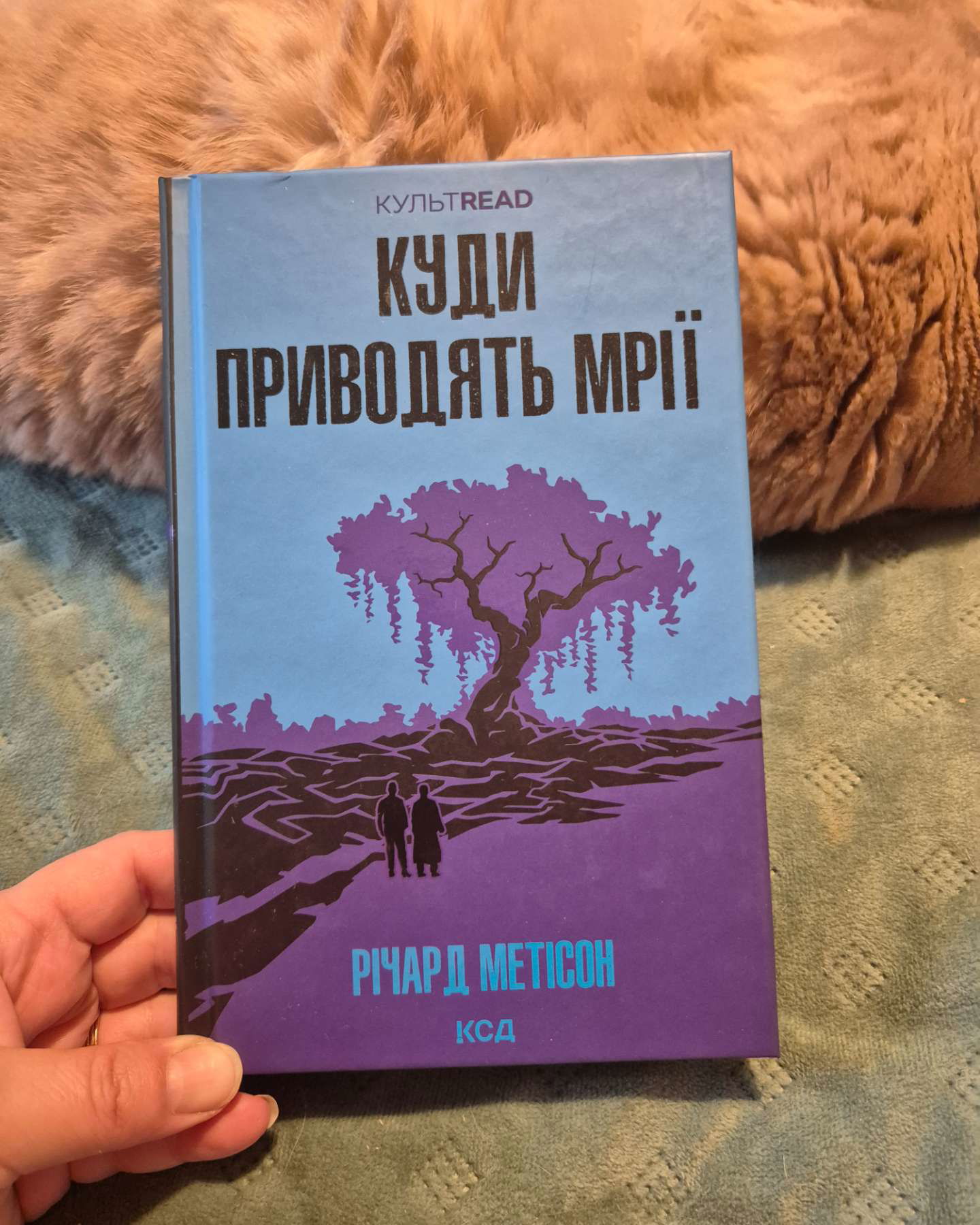 Куди приводять мрії-Річард Метісон