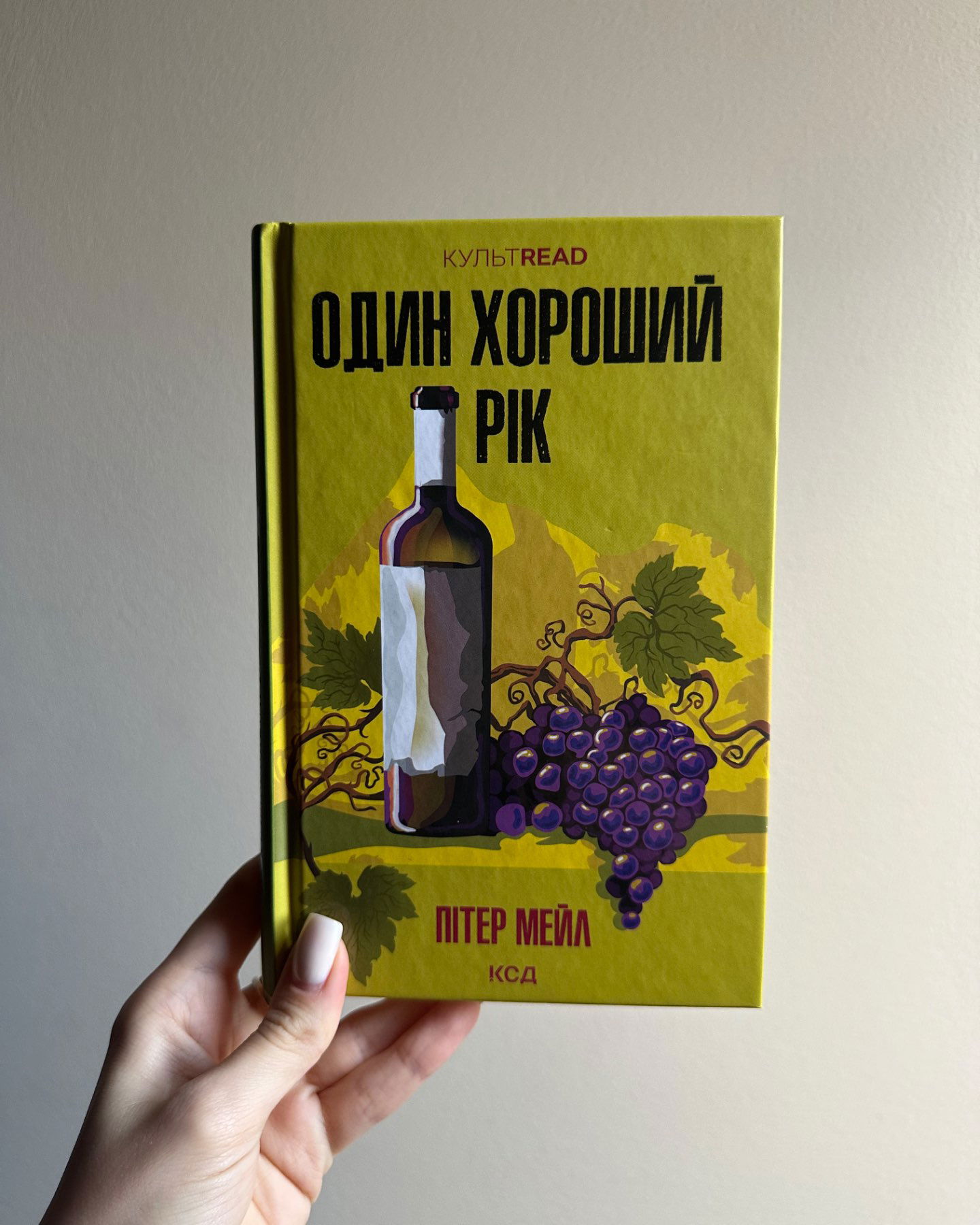 Один хороший рік-Пітер Мейл